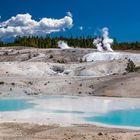 Porcellain Basin / Yellowstone