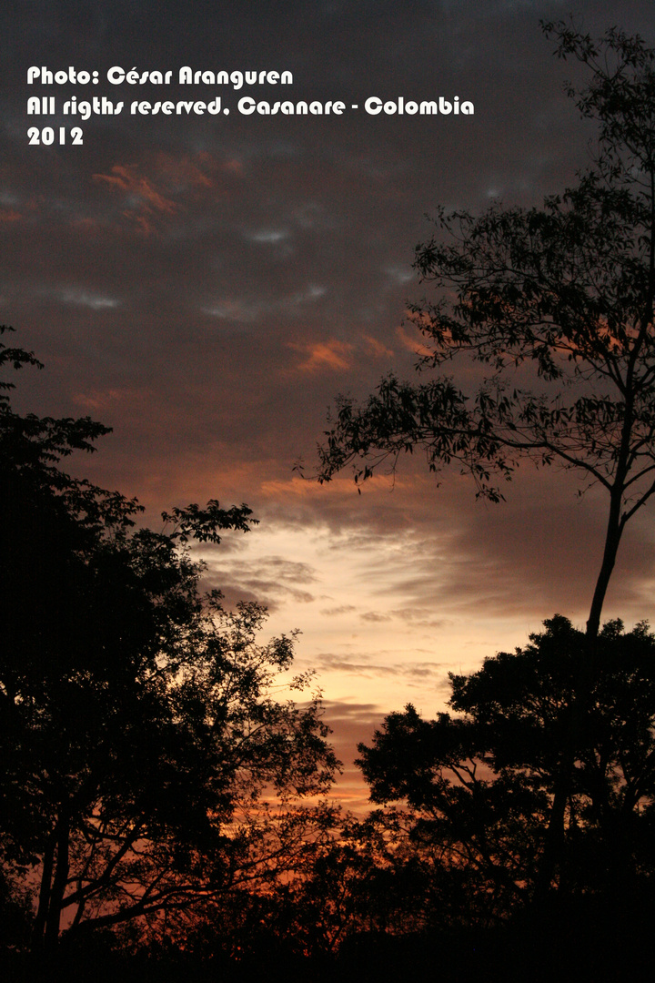 Pore, Casanare - Colombia