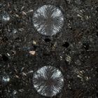 Pore im Magnesiabinder mit Sekundärkristallen