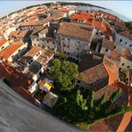 Porec 8mm #1