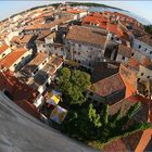 Porec 8mm