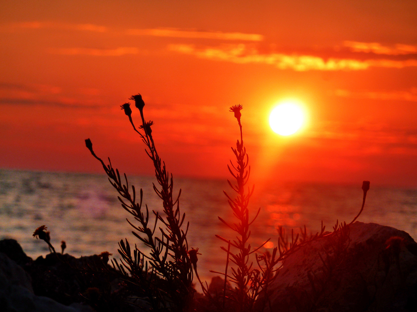 Porec sunset