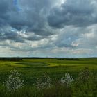 Porphyrlandschaft bei Landsberg