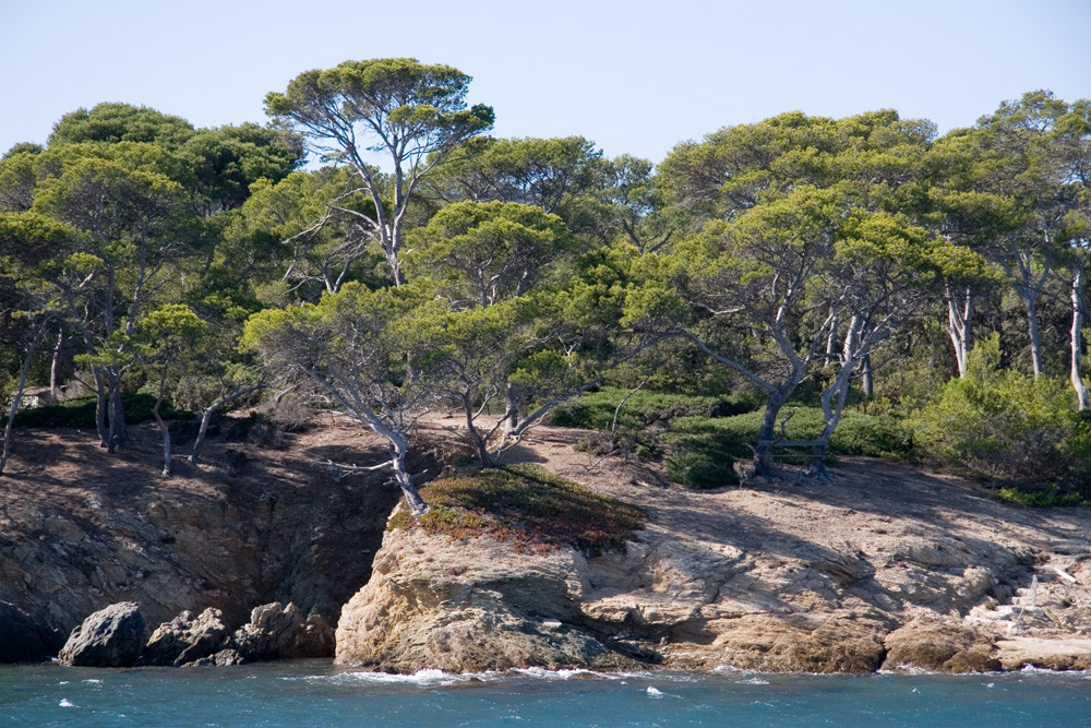 Porquerolles (Nordküste)