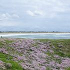 Pors Carn vue de la pointe de le Torche