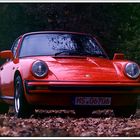 Porsche 911 (1511-02)