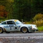Porsche 911RS  im Herbstwald