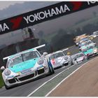 . . . Porsche Carrera Cup . . .