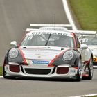 Porsche GT3 Cup 991 (IMSA)