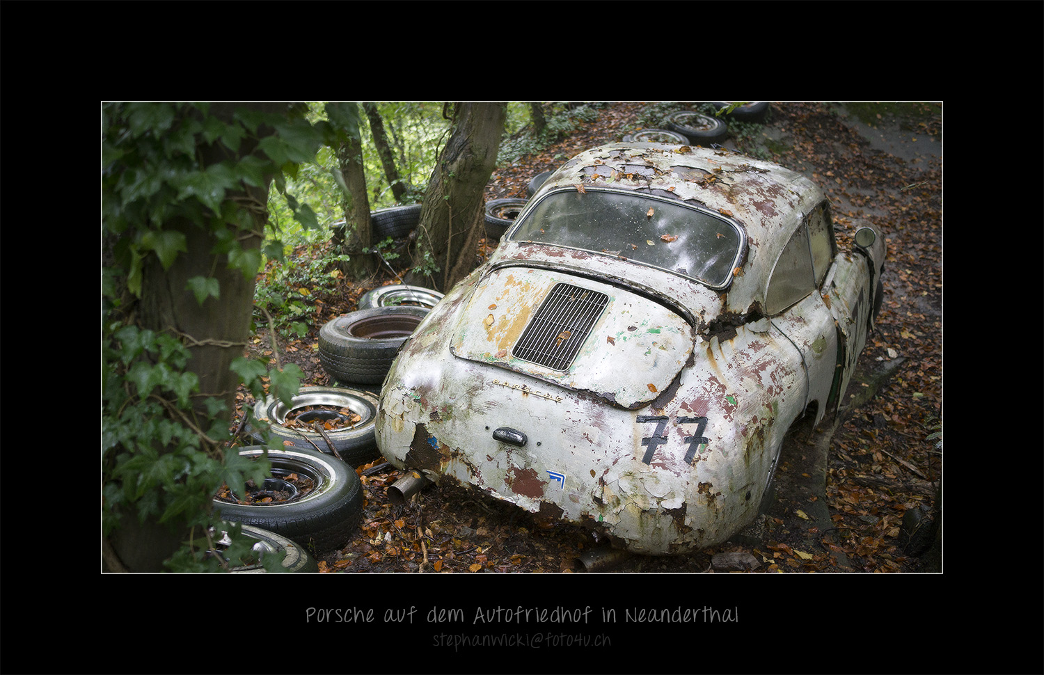 Porsche im Wald