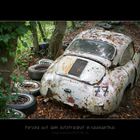 Porsche im Wald