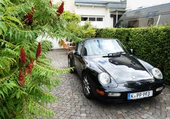 Porsche in der Einfahrt