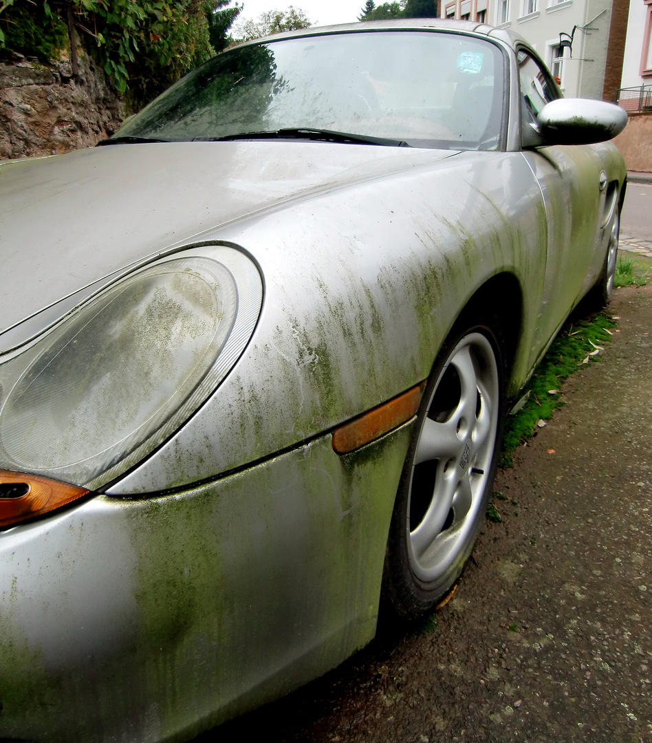 Porsche in Patinamossgrün