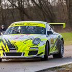 Porsche in Rallying 2020 Part 10