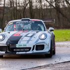 Porsche in Rallying 2020 Part 11