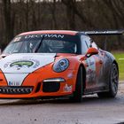 Porsche in Rallying 2020 Part 13