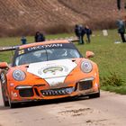 Porsche in Rallying 2020 Part 8