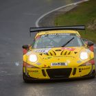 Porsche in Track-Racing Season 2019 Part 26