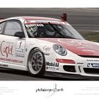 Porsche Sports Cup 2009 / Nürburgring / GT3CC