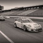 porsche sports cup - vogelgesang