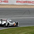 Porsche Team