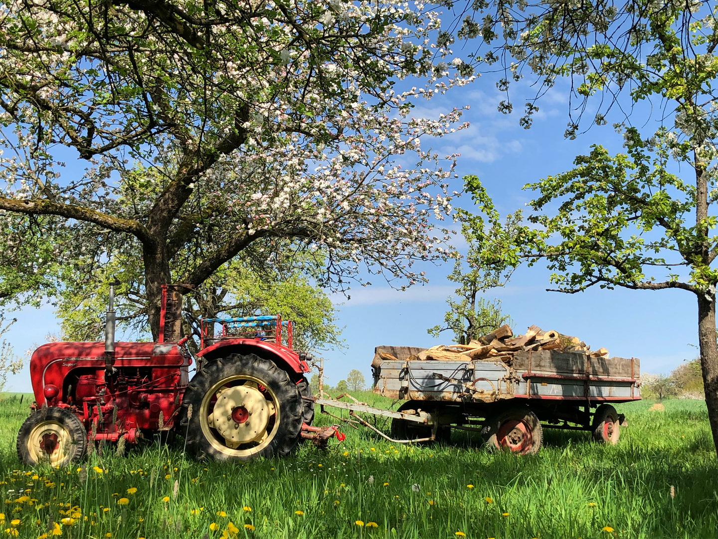 Porsche Traktor in Aktion