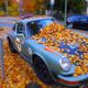 Porsche unterm Laub