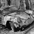 PORSCHE - Verrottet im Wald