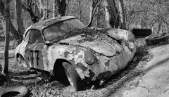 PORSCHE - Verrottet im Wald