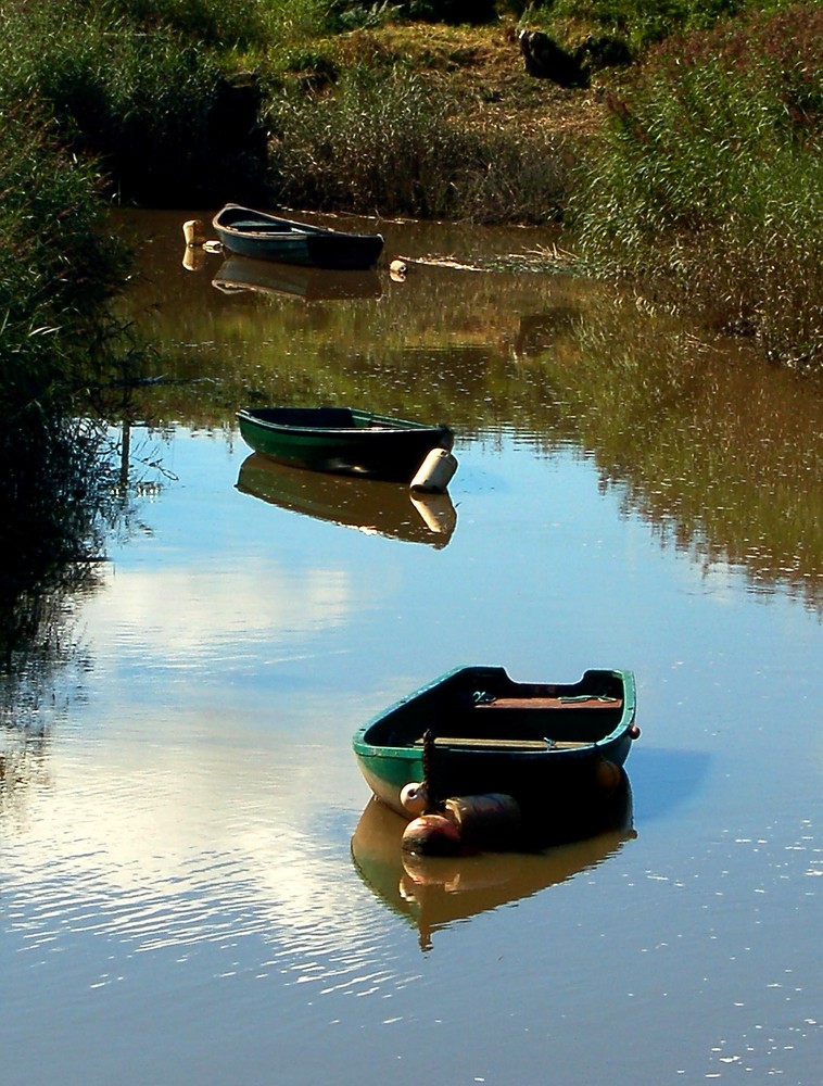 Port Allen Boats