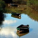 Port Allen Boats