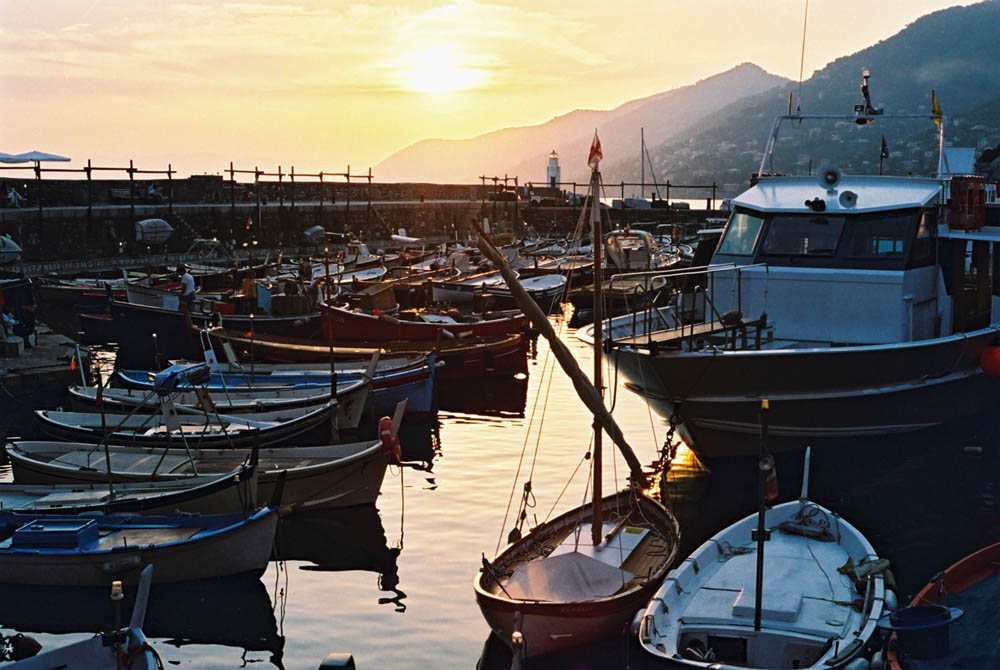 Port at sunset