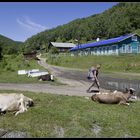 Port Baikal - Ortseingang