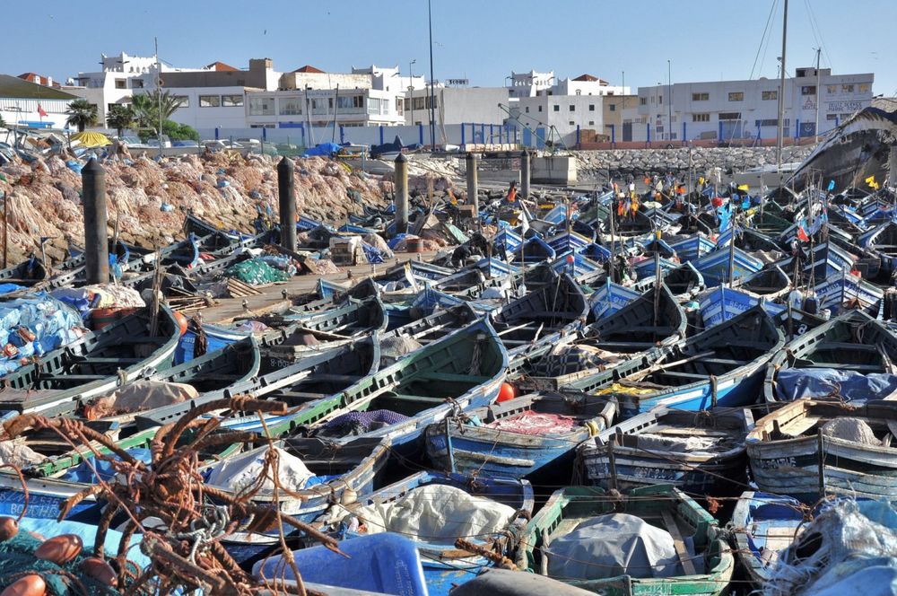 port bleu de ckiki 