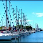 PORT - CAMARGUE - 3 -