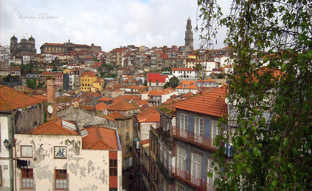 Port, charm my eye ! / Porto, encanto do meu olhar!