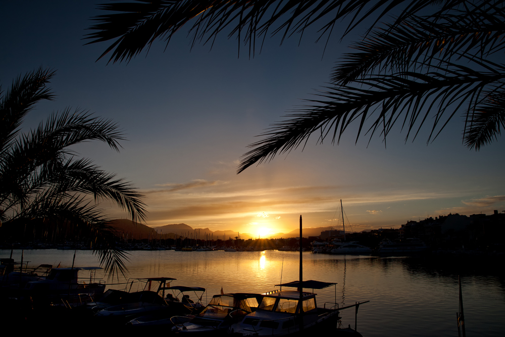 Port d ´Alcudia