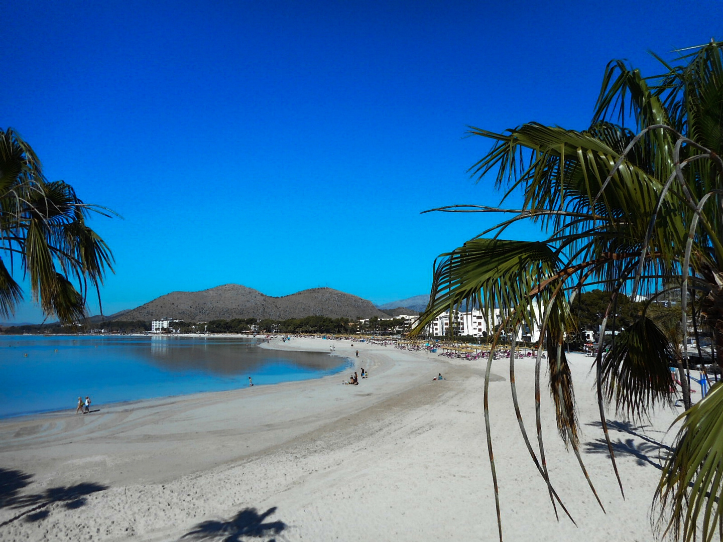 Port d`Alcudia