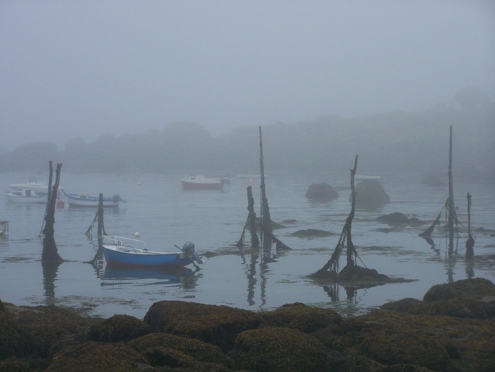 Port dans la brume