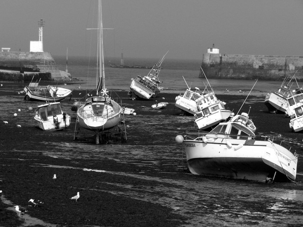 Port de Barfleur marée basse