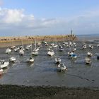 port de BINIC en bretagne