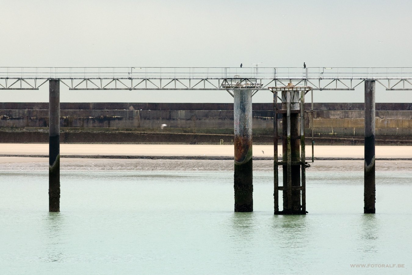 Port de Boulogne (6)