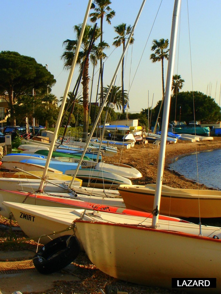 Port de Cannes