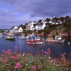 Port de Doëlan Bretagne