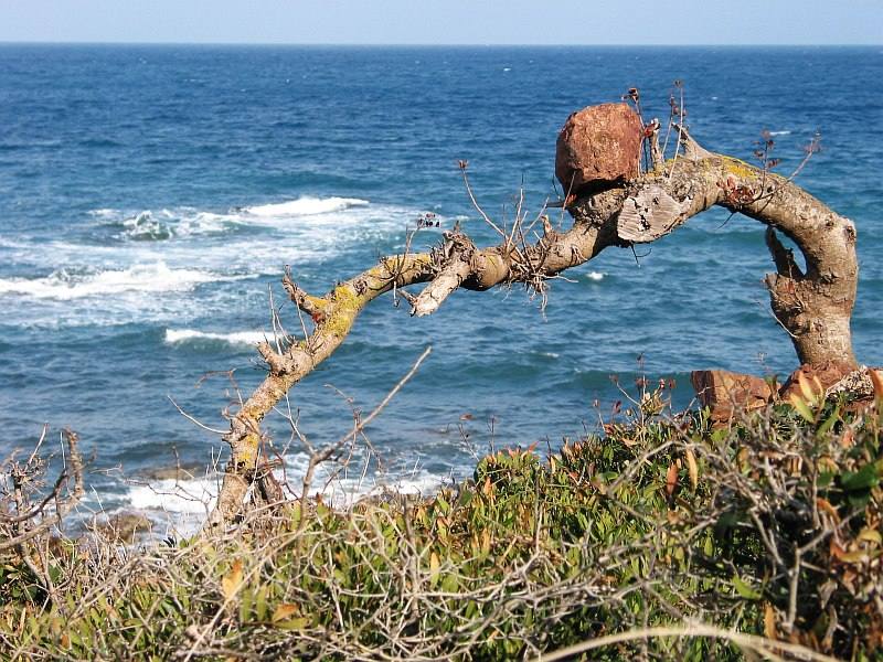 Port de 'es Canonge - Blick auf´s Meer