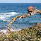 Port de 'es Canonge - Blick auf´s Meer