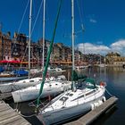 Port de Honfleur 10