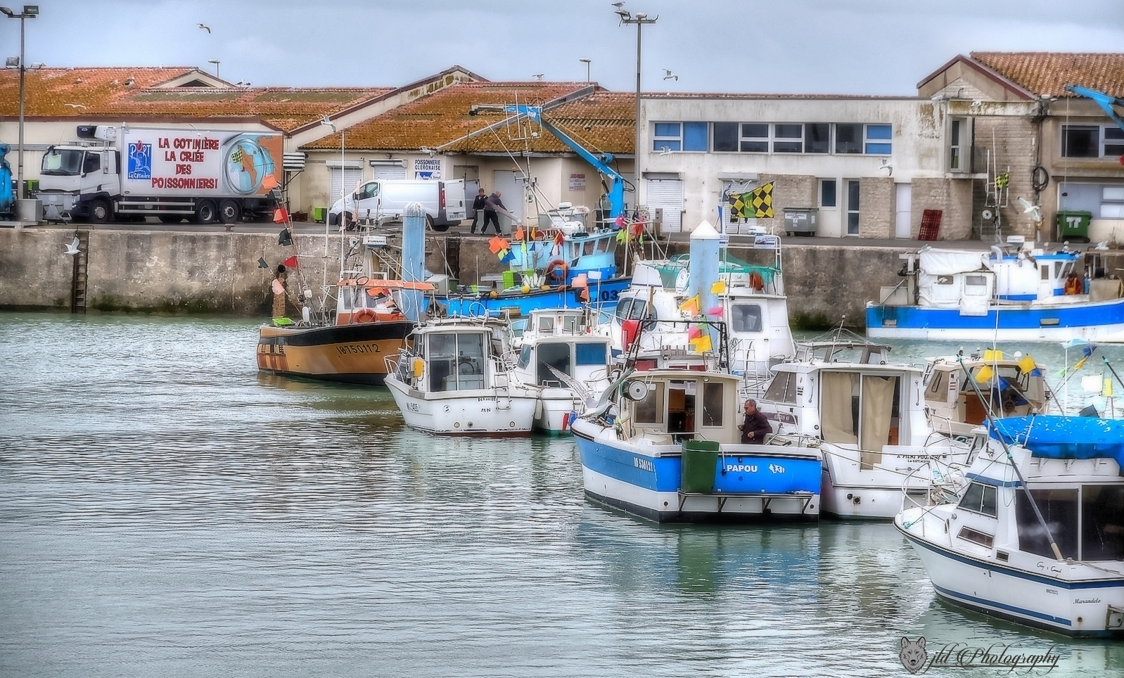  port de la cotiniére 