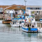  port de la cotiniére 