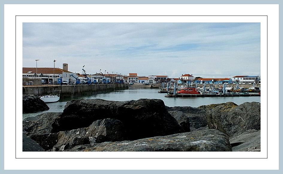 Port de la Cotinière